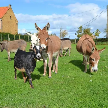 Panzió 't Koolhof 3*