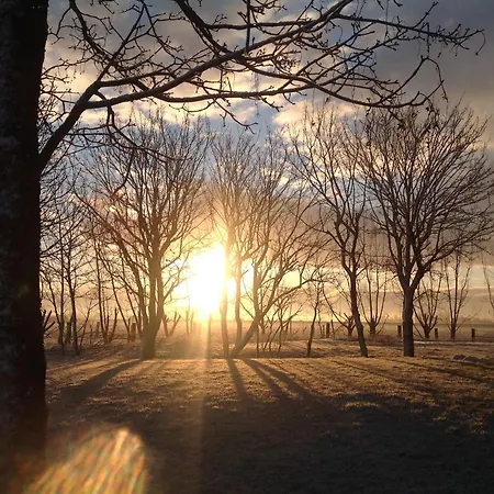 't Koolhof 3*