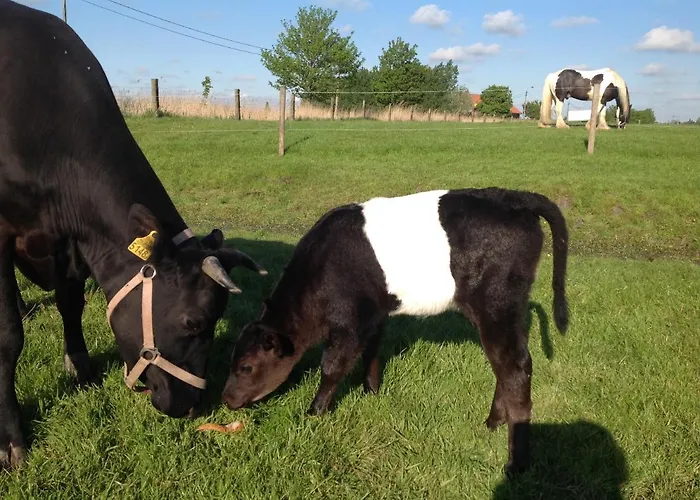 Bed & Breakfast 't Koolhof