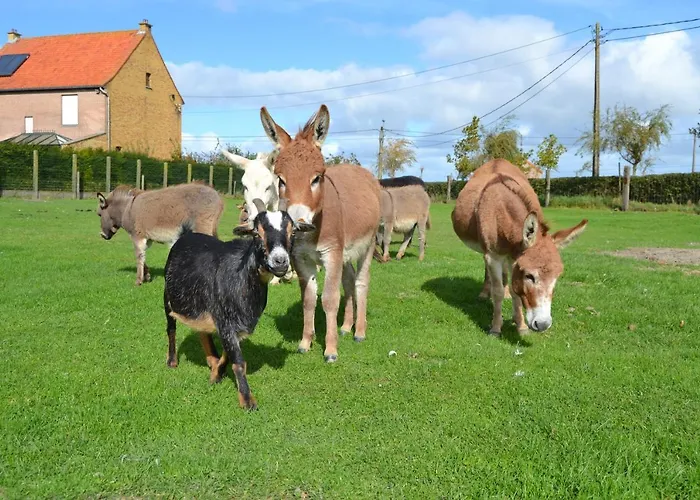 Bed & Breakfast 't Koolhof 3*